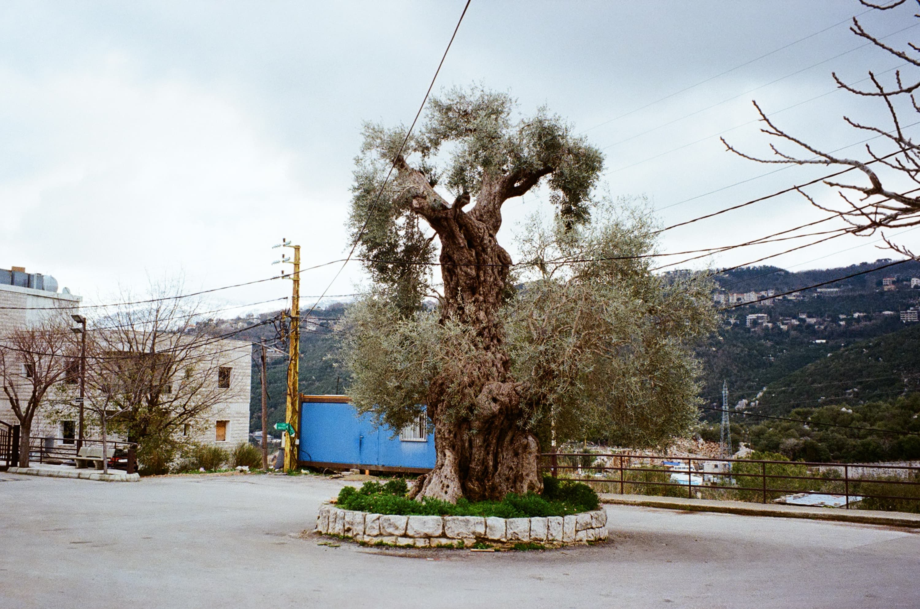Documentary photograph: Mount Lebanon (3), February 2025. Mount Lebanon, Lebanon. Archival pigment print by Thalia Bassim.
